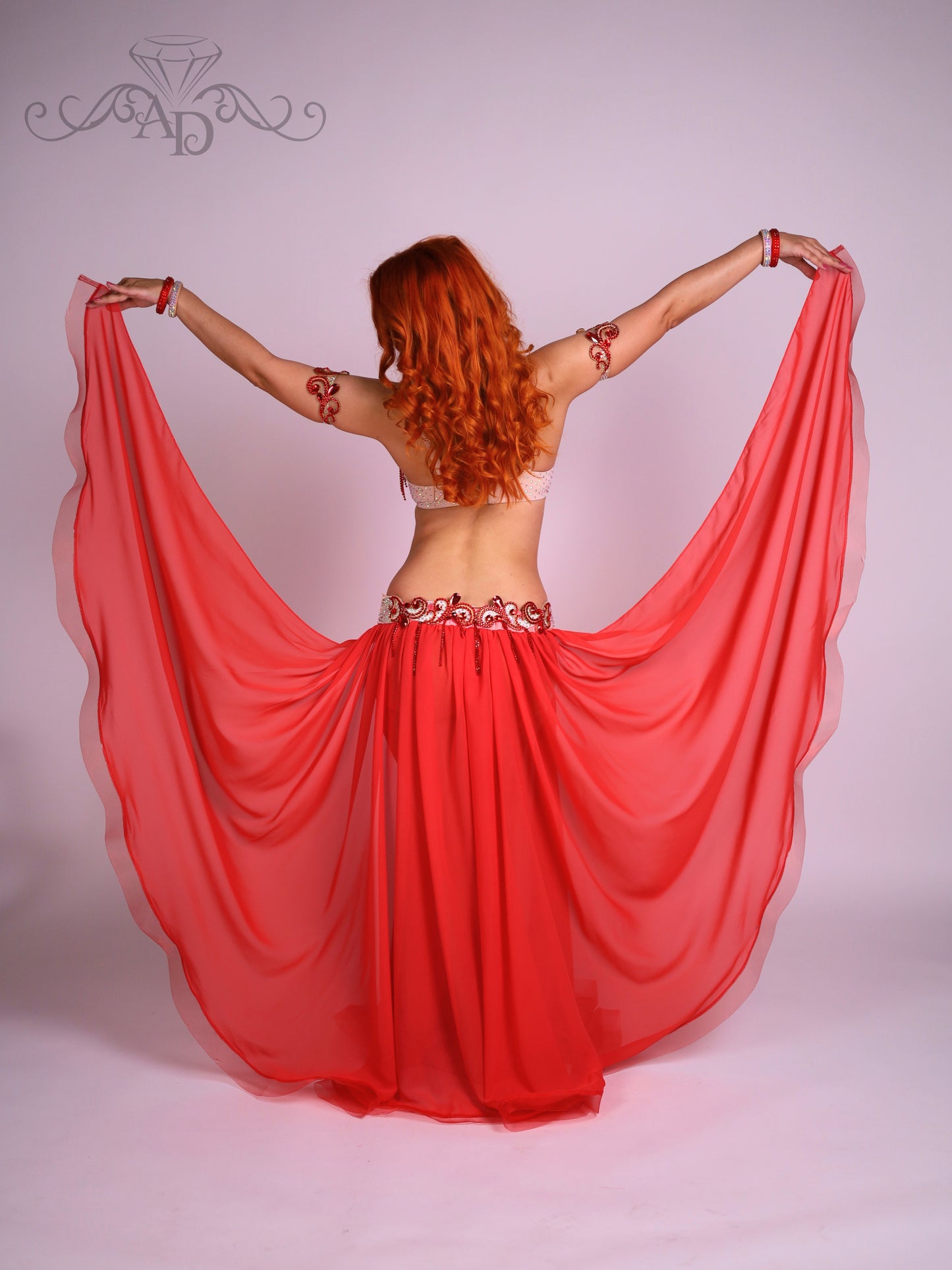 Professional Belly Dance Costume with Rhinestone Chain Fringe