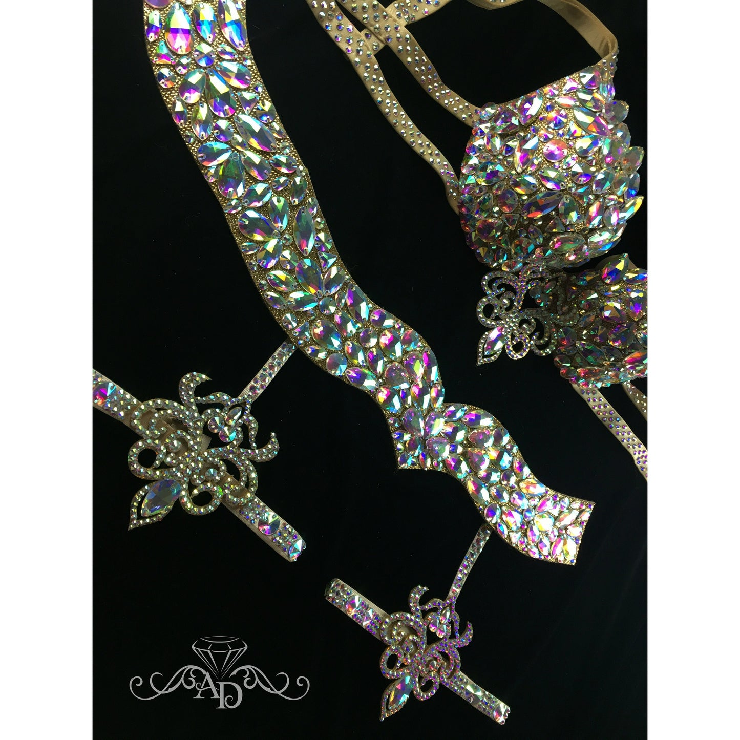 Golden Belly Dance Bra & Belt Set – Transformable Base Set