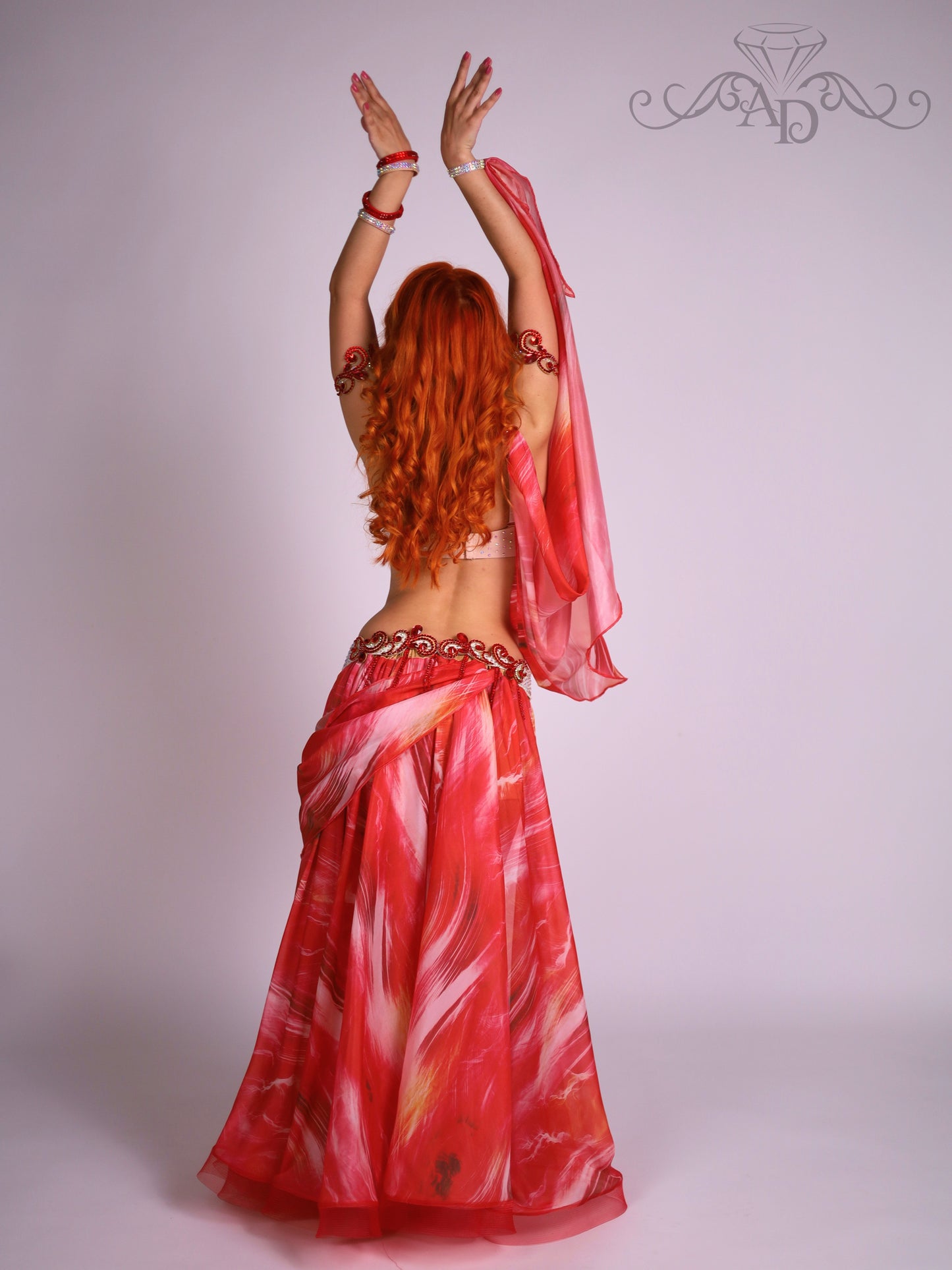 Professional Belly Dance Costume with Rhinestone Chain Fringe