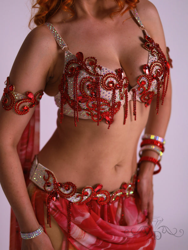 Professional Belly Dance Costume with Rhinestone Chain Fringe