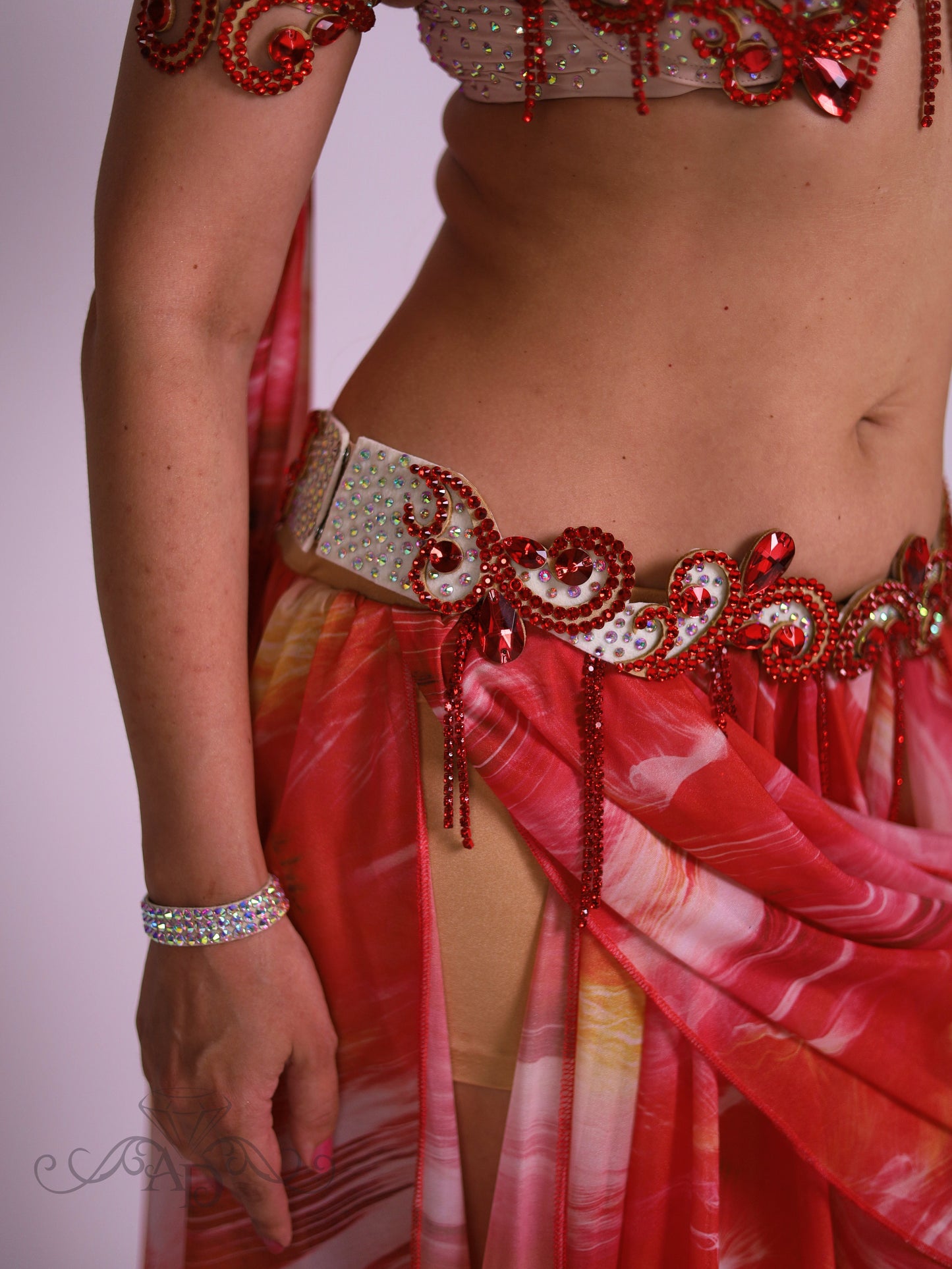 Professional Belly Dance Costume with Rhinestone Chain Fringe
